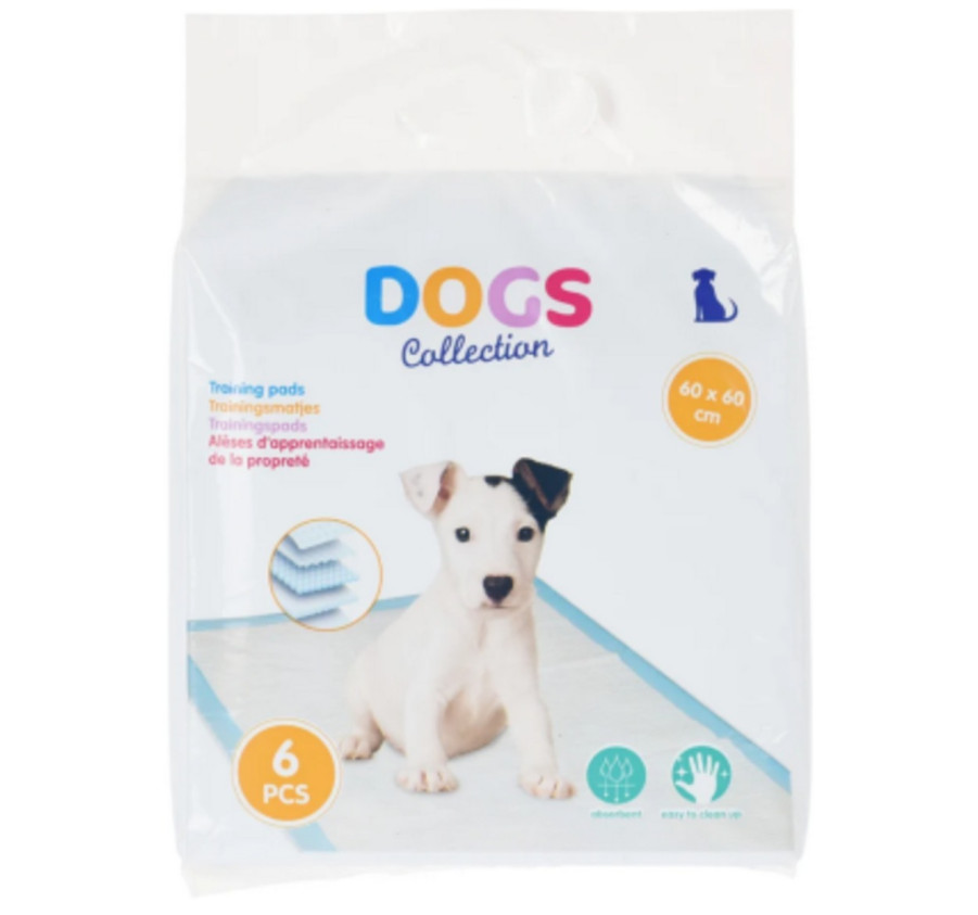 ALESE D APPRENTISSAGE POUR