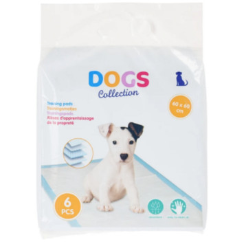 ALESE D APPRENTISSAGE POUR︱Lory