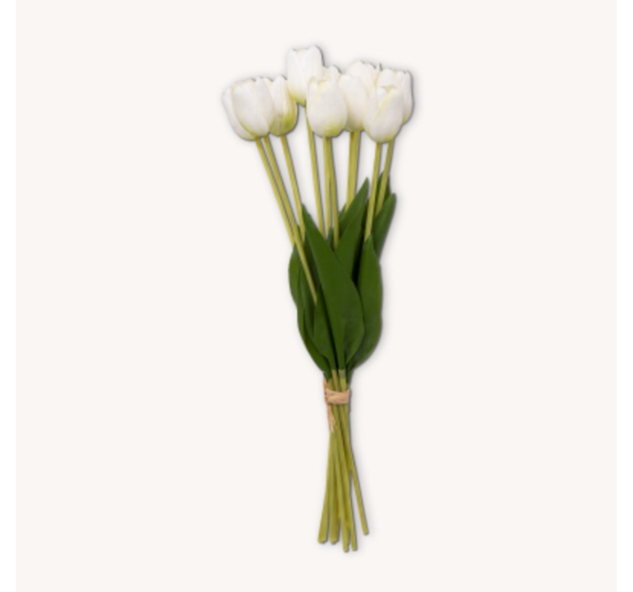BOUQUET DE 10 TULIPES BLANCHES
