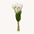 BOUQUET DE 10 TULIPES BLANCHES