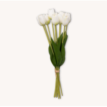BOUQUET DE 10 TULIPES BLANCHES︱Lory