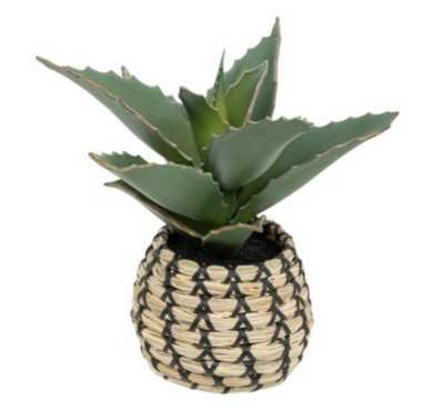 PLANTE SAMOURAI ARTIFICIELLE︱Lory