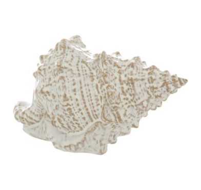 COQUILLAGE EN CERAMIQUE︱Lory