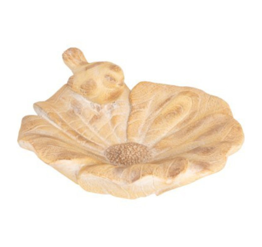 COUPELLE BAIN POUR OISEAU︱Lory