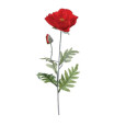COQUELICOT ROUGE ARTIFICIEL