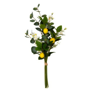 BOUQUET DE CITRON ARTIFICIEL︱Lory