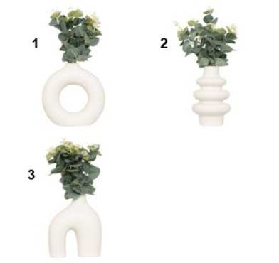 COMPOSITION EUCALYPTUS︱Lory