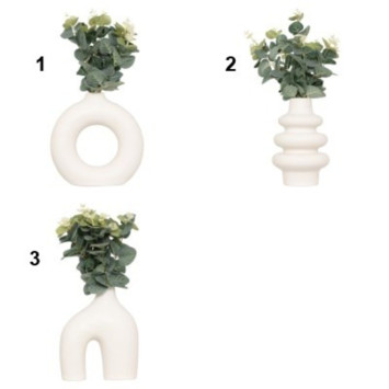 COMPOSITION EUCALYPTUS︱Lory