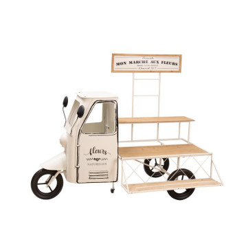 CAMION PORTE PLANTES BLANC︱Lory