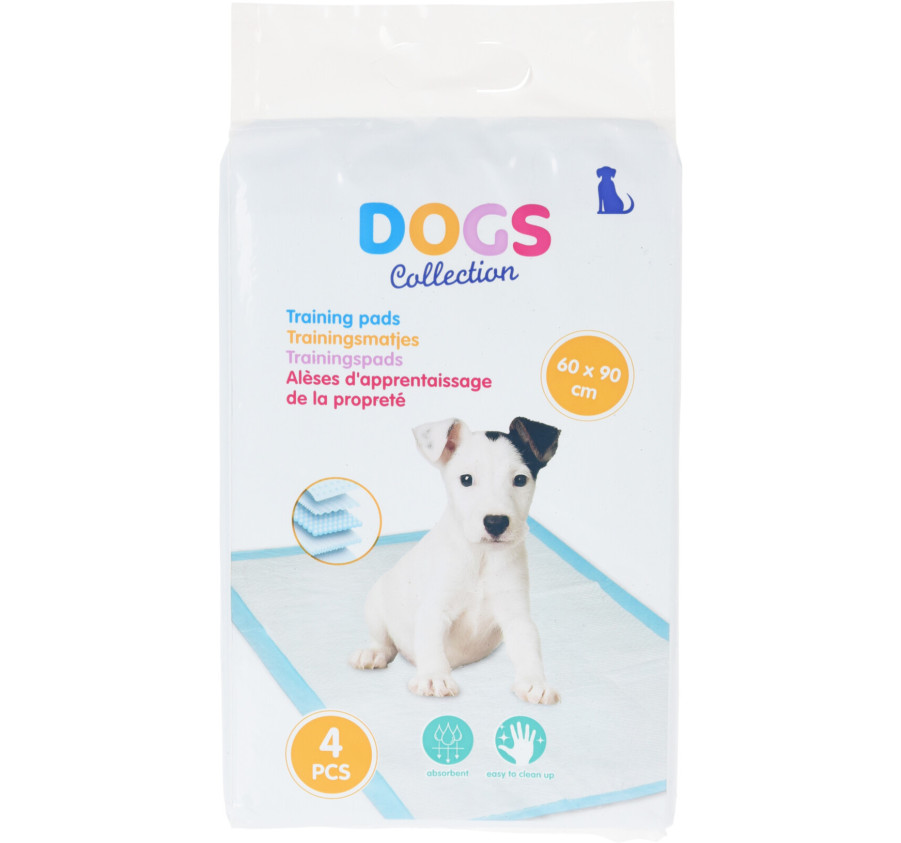 ALESE D APPRENTISSAGE