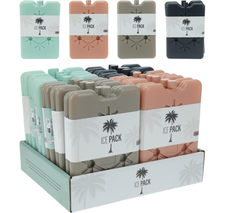 LOT DE 2 BLOCS REFRIGERANTS