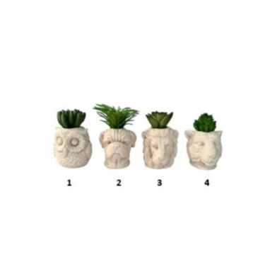 PLANTE POT ANIMAL 5.5X8CM︱Lory