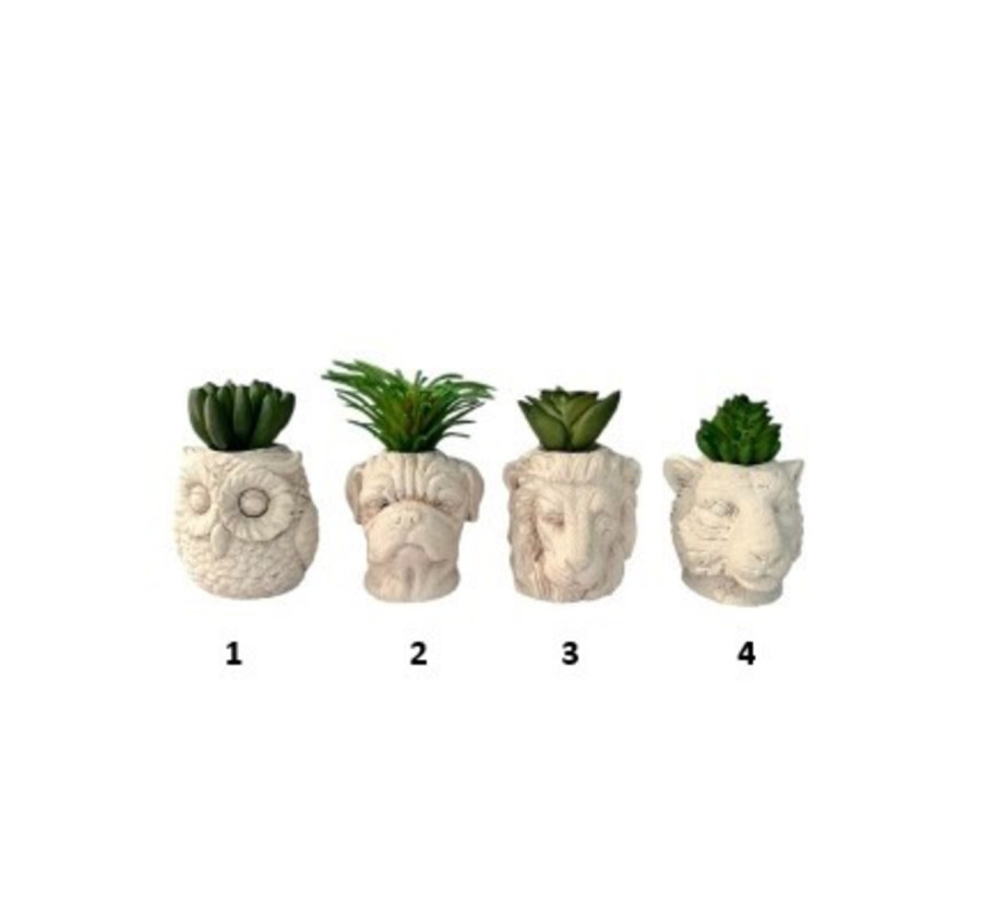 PLANTE POT ANIMAL 5.5X8CM