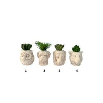 PLANTE POT ANIMAL 5.5X8CM︱Lory