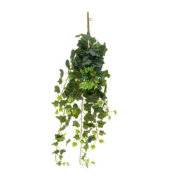 TIGE TOMBANTE ARTIFICIELLE︱Lory