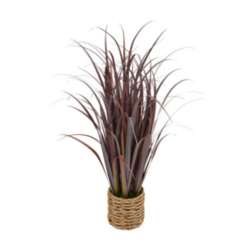 BUNCH LIN POT NATUREL ZYA