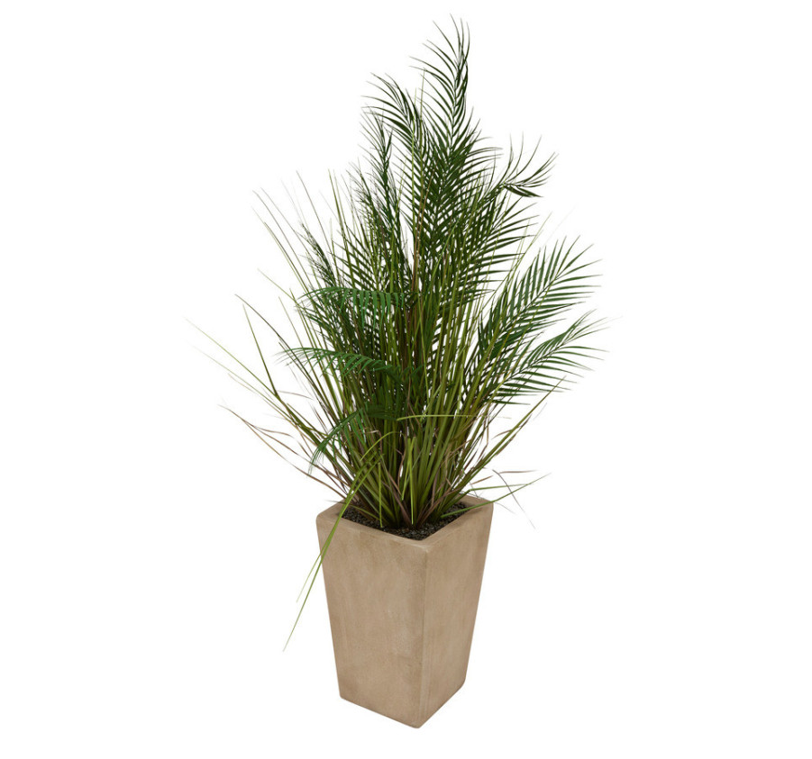 PALMIER POT EN CERAMIQUE