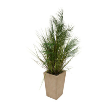 PALMIER POT EN CERAMIQUE