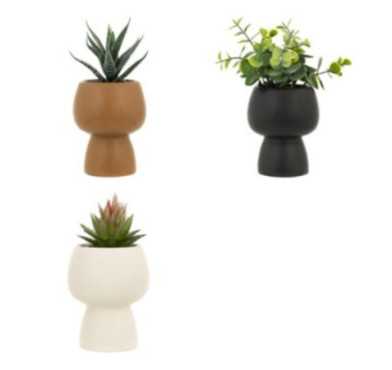 PLANTE GRASSE ARTIFICIELLE︱Lory