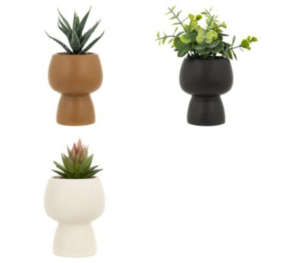 PLANTE GRASSE ARTIFICIELLE