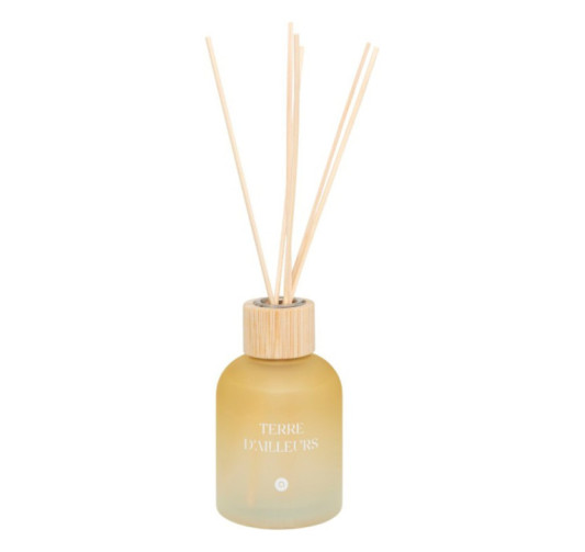 DIFFUSEUR DE PARFUM TERRE