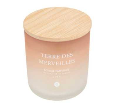 BOUGIE PARFUMEE TERRE DES