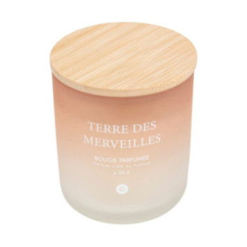 BOUGIE PARFUMEE TERRE DES