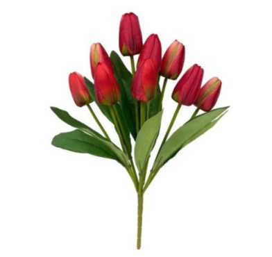 BOUQUET DE 9 TULIPES ROUGES