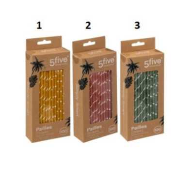 PAILLE EN PAPIER X100PIECES