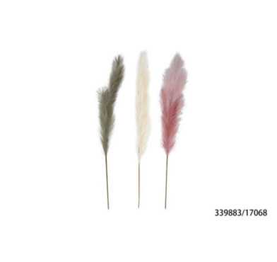 TIGE DE PAMPA 140CM COLORIS