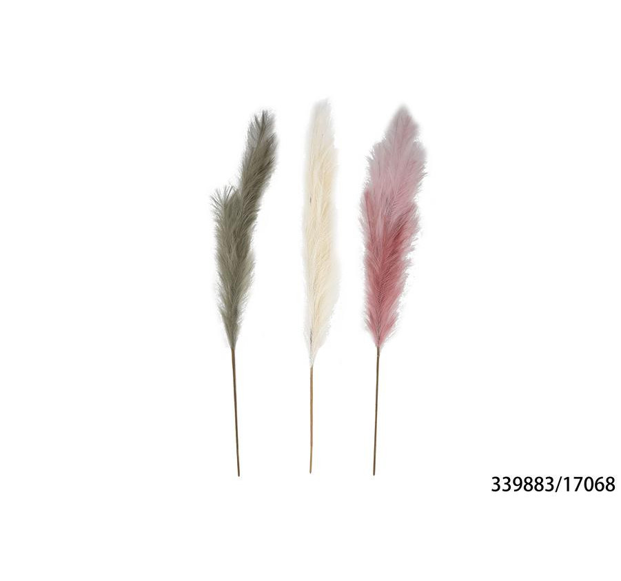 TIGE DE PAMPA 140CM COLORIS