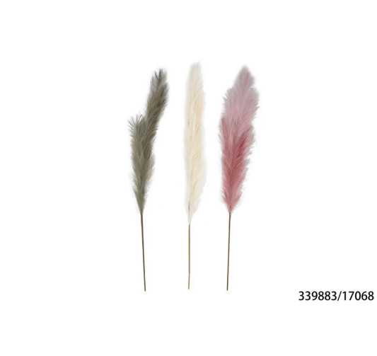 TIGE DE PAMPA 140CM COLORIS