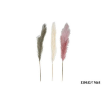 TIGE DE PAMPA 140CM COLORIS