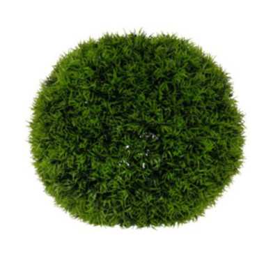 BOULE DE BUIS HERBE VERT