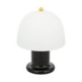 LAMPE A POSER LED RICK H.21CM