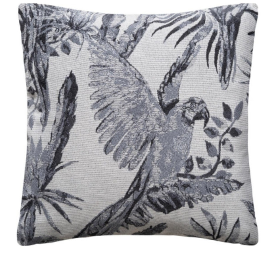 COUSSIN PERROQUET GRIS