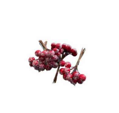 BOITE DE 4 BOUQUETS DE BAIES