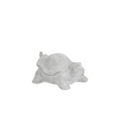 TORTUE EN TERRE CUITE