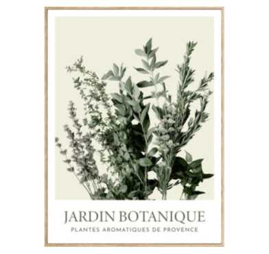 TOILE IMPRIMEE JARDIN CECILIA