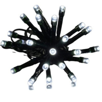 GUIRL PILES 144L 8F L15M︱Lory