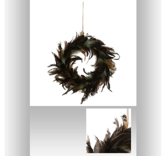 COURONNE DE PLUME PAON︱Lory