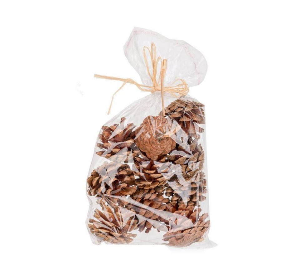 SACHET DE 10 POMMES DE PIN