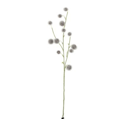 BRANCHE DE BOULES POMPONS︱Lory