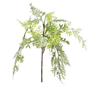 BRANCHE FEUILLAGE VERTE︱Lory