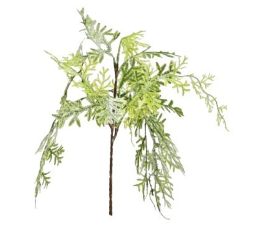 BRANCHE FEUILLAGE VERTE