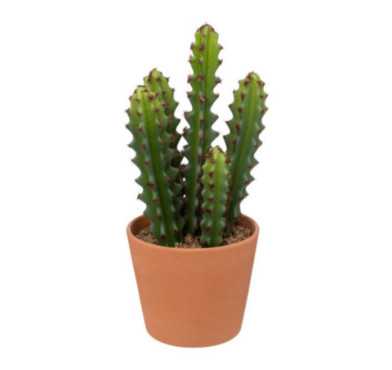 CACTUS ARTIFICIEL ALI H.25CM
