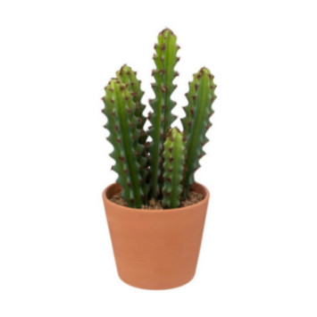 CACTUS ARTIFICIEL ALI H.25CM