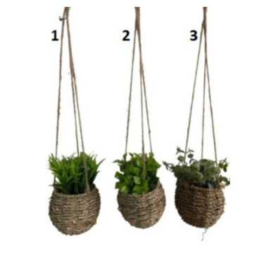 PLANTE DECORATIVE A SUSPENDRE