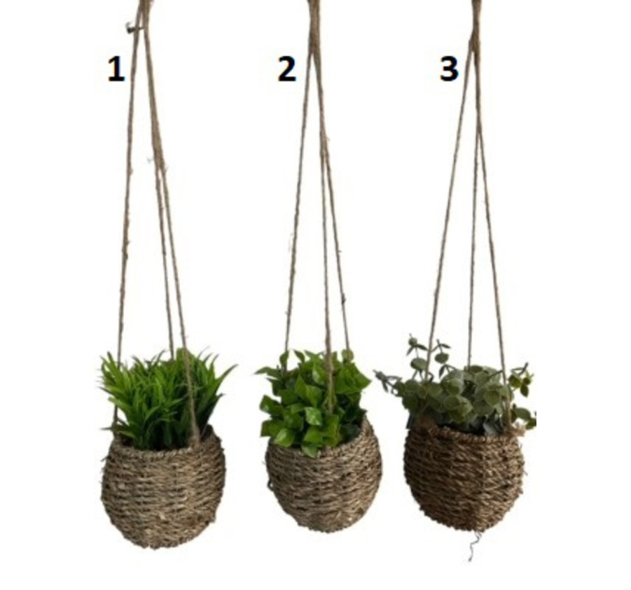 PLANTE DECORATIVE A SUSPENDRE