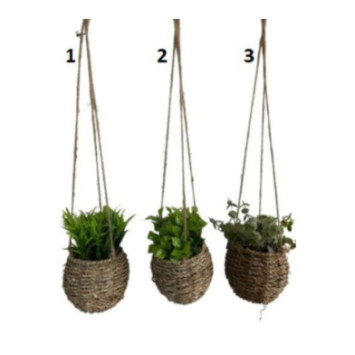 PLANTE DECORATIVE A SUSPENDRE
